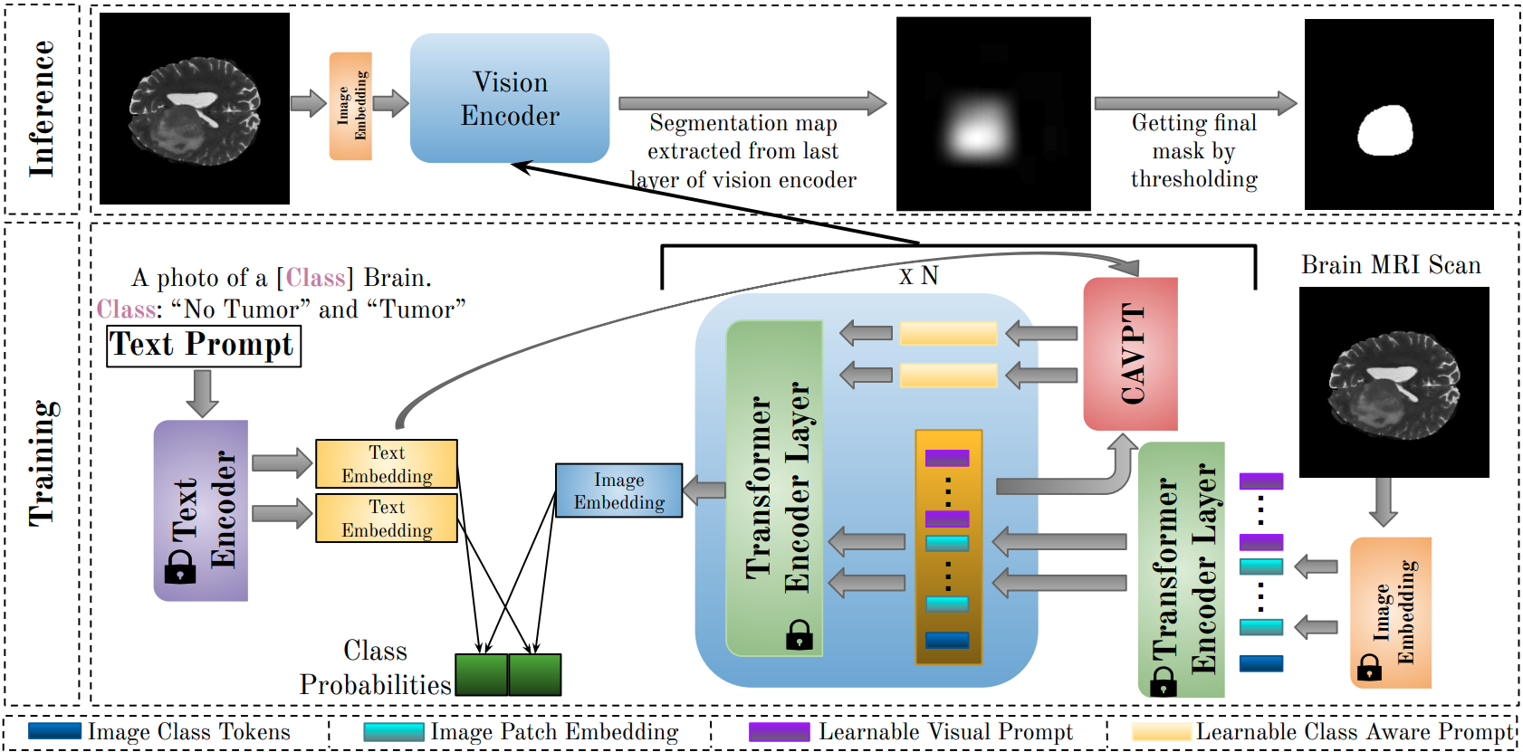 DDPT Architecture